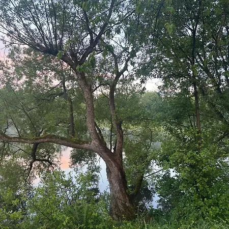 Sorpesee